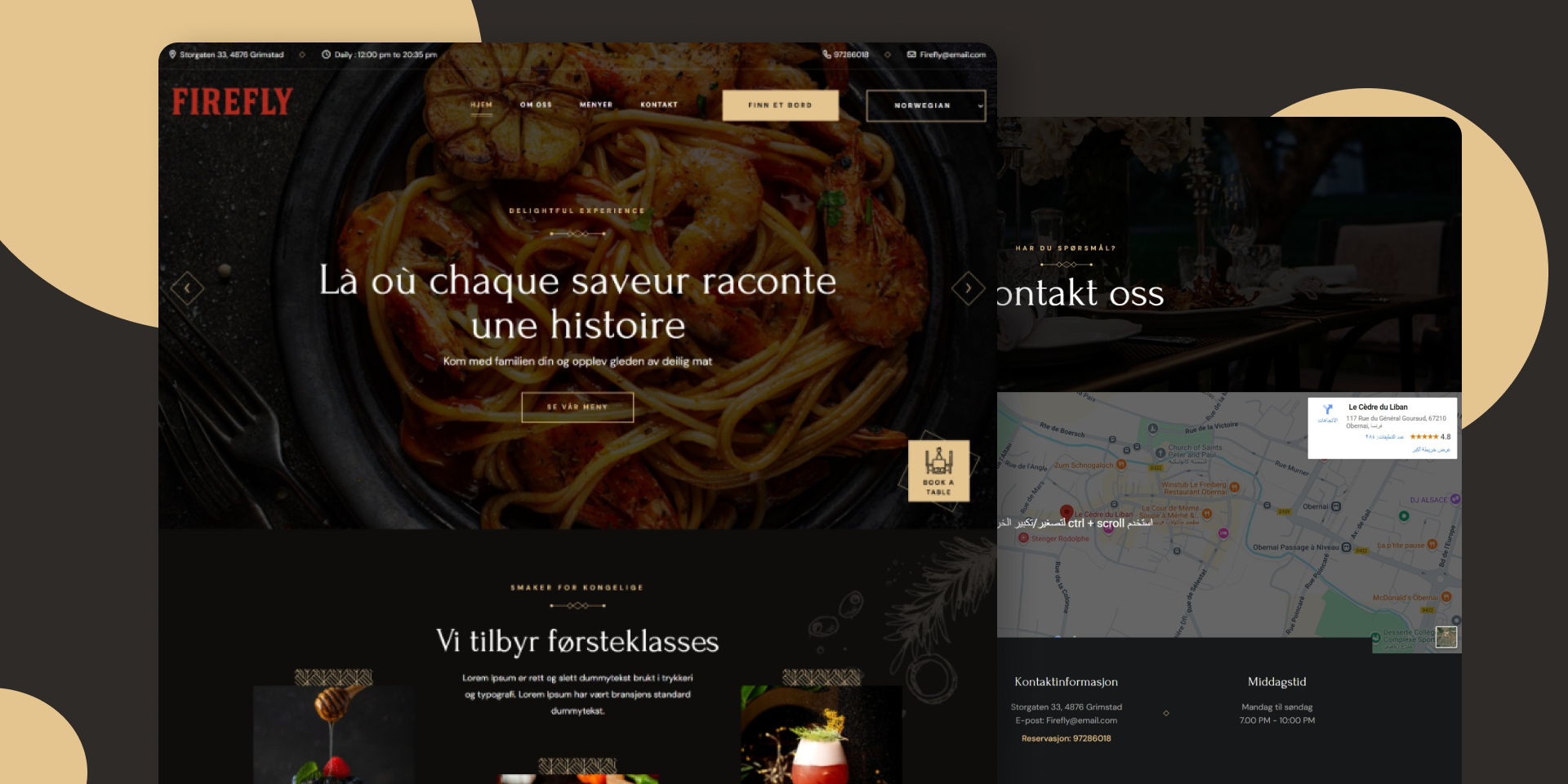 موقع الكتروني لمطعم FireFly